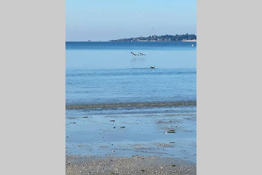 Apartment Ferienwohnung Cap Coz Sea Side Fouesnant Frankreich